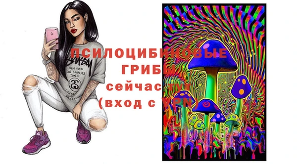 МДПВ Наволоки