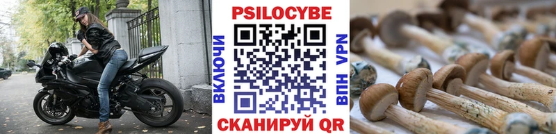 Псилоцибиновые грибы Psilocybine cubensis  ОМГ ОМГ ONION  Шелехов  хочу  